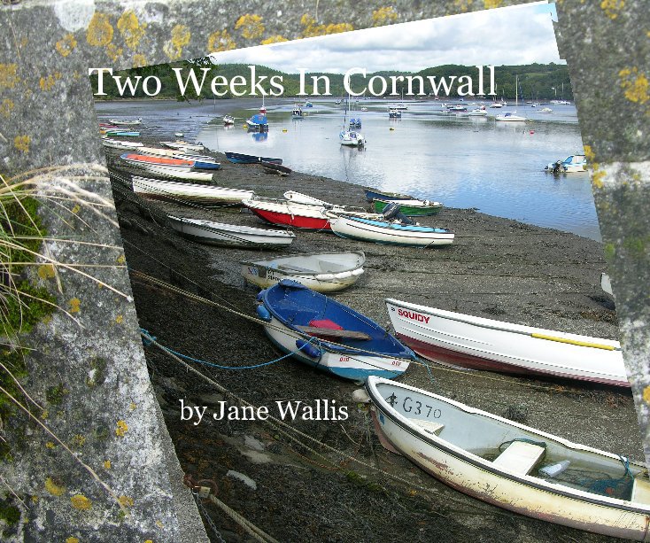 View Two Weeks In Cornwall by Jane Wallis
