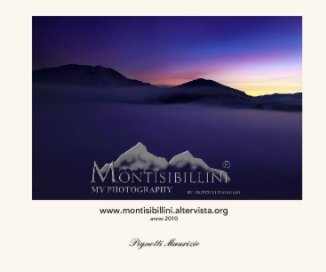 www.montisibillini.altervista.org anno 2010 book cover