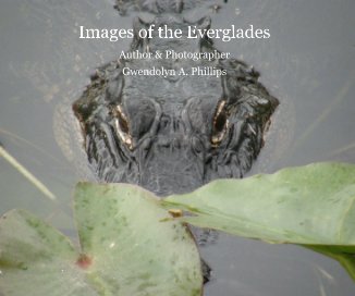 Images of the Everglades book cover