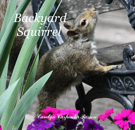 View Backyard Squirrel by Carolyn Carpenter Parson