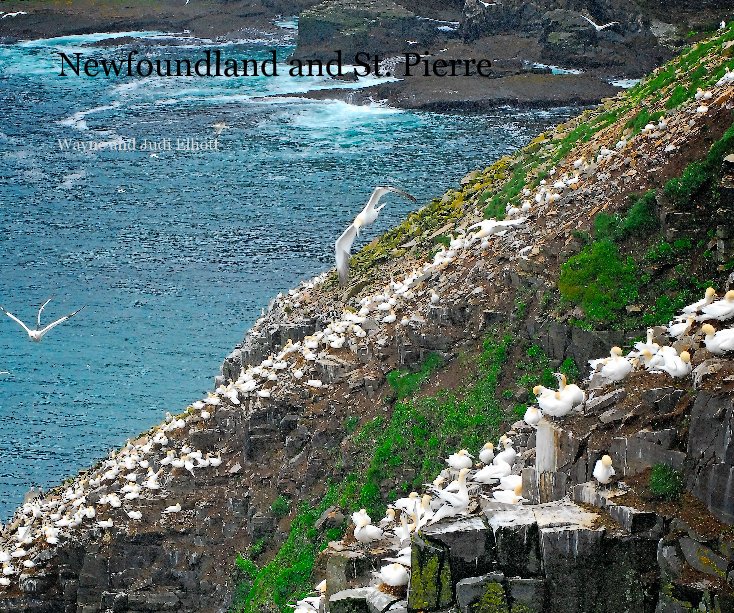 Ver Newfoundland and St. Pierre por Wayne and Judi Elliott