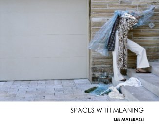SPACES WITH MEANING book cover
