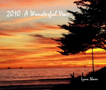 2010 A Wonderful Year book cover