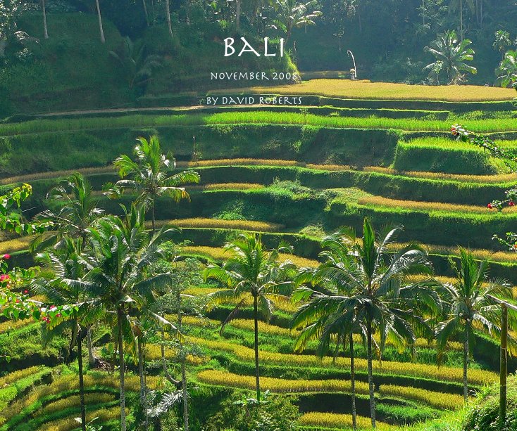View Bali by David Roberts