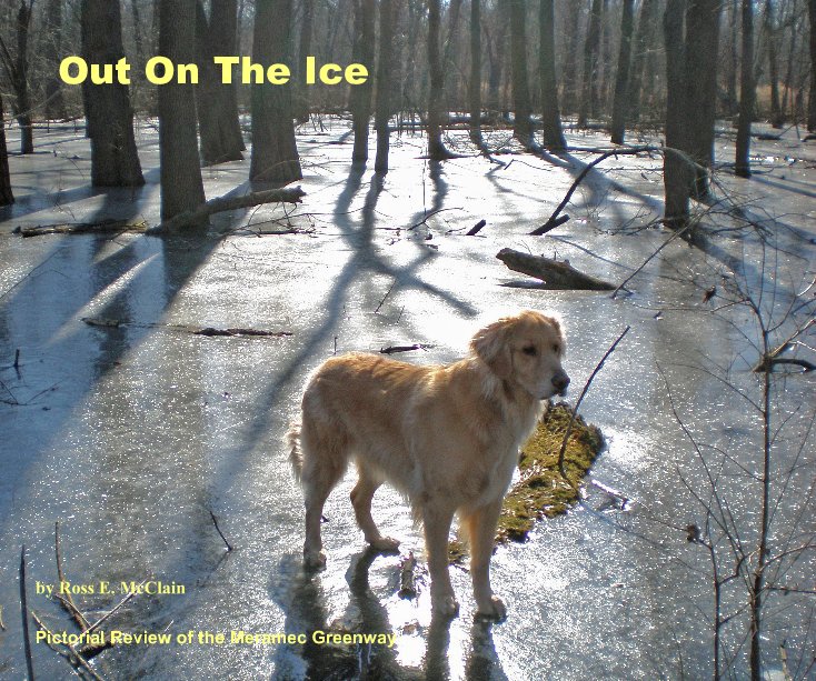 Ver Out On The Ice por Ross E. McClain