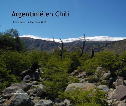 Argentinië en Chili 13 november - 5 december 2010 El Chaltèn (Argentinië) book cover