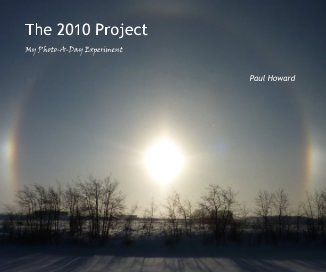 The 2010 Project book cover