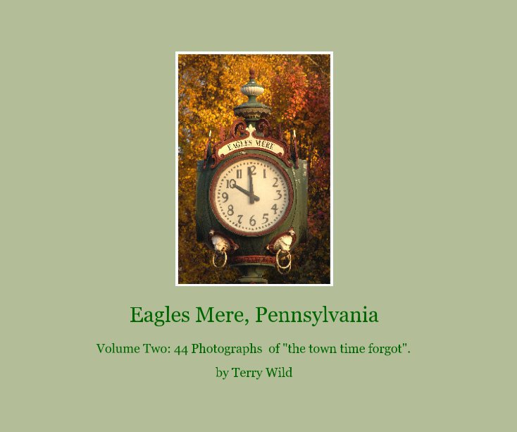 View Eagles Mere, Pennsylvania by Terry Wild
