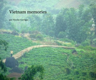 Vietnam memories book cover