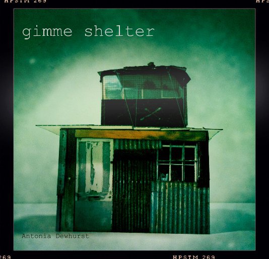 gimme shelter nach Antonia Dewhurst anzeigen