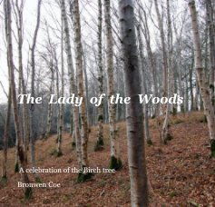 The  Lady  of  the  Woods book cover
