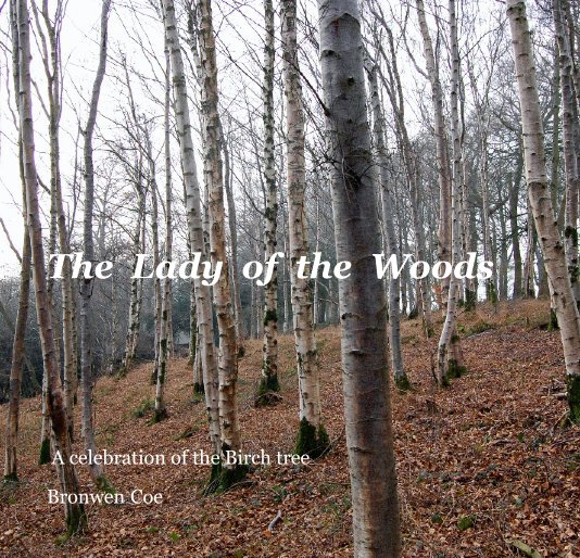 View The  Lady  of  the  Woods by Bronwen  Coe