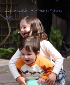 Zoe & Calder - A Year in Pictures 2010 book cover