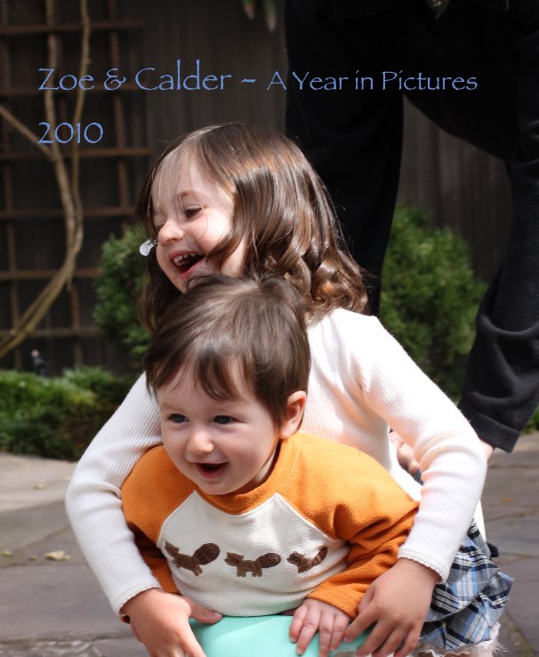 Visualizza Zoe & Calder - A Year in Pictures 2010 di dbglass
