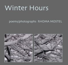 Winter Hours book cover