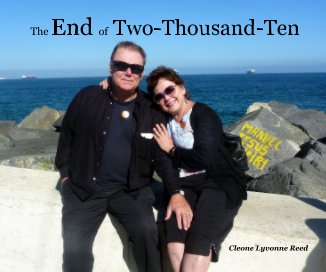 The End of Two-Thousand-Ten book cover
