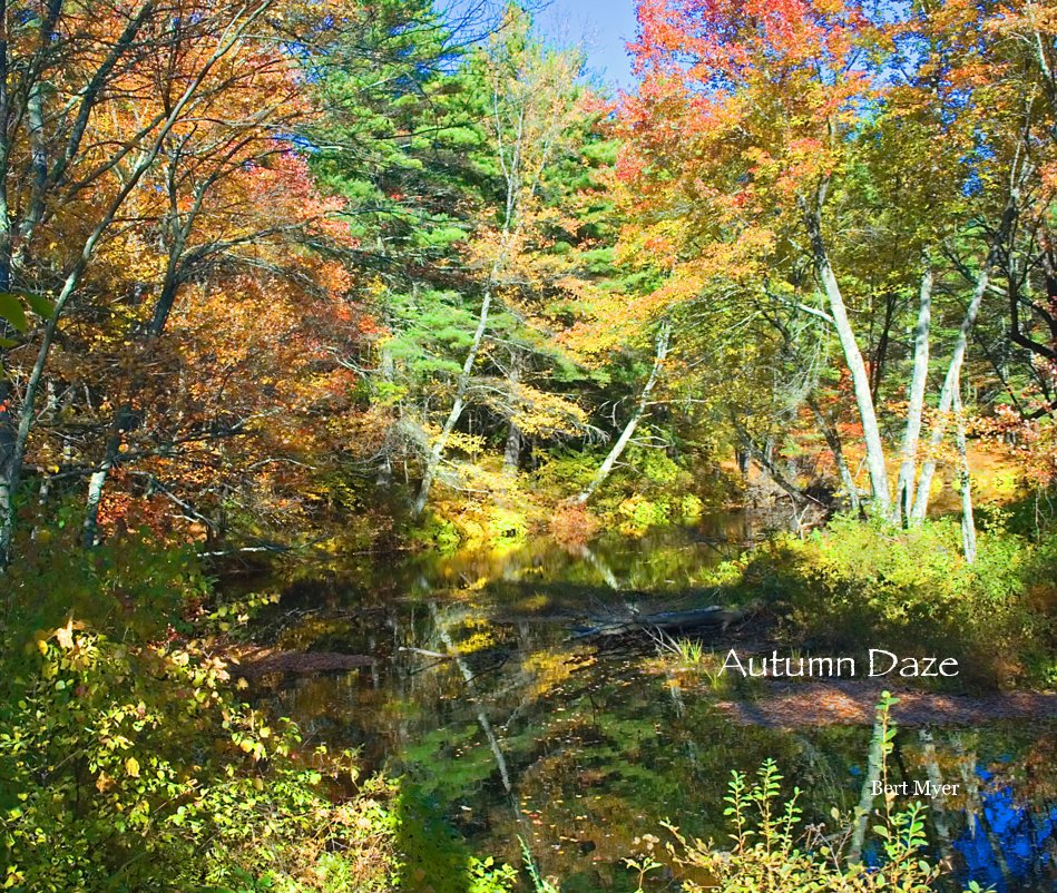 Visualizza Autumn Daze di Bert Myer