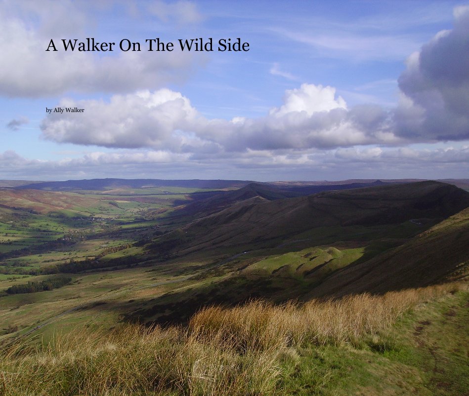 View A Walker On The Wild Side by Ally Walker