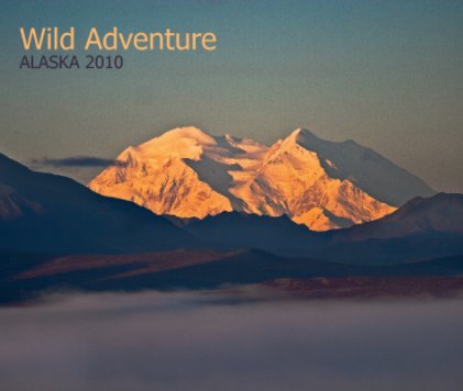Wild Adventure book cover