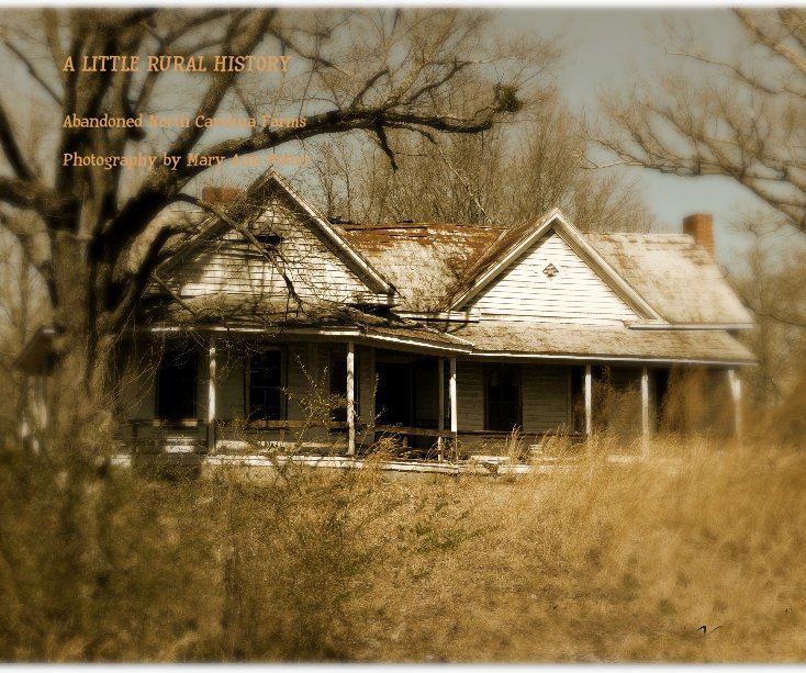 View A LITTLE RURAL HISTORY by Photography by Mary Ann Potter