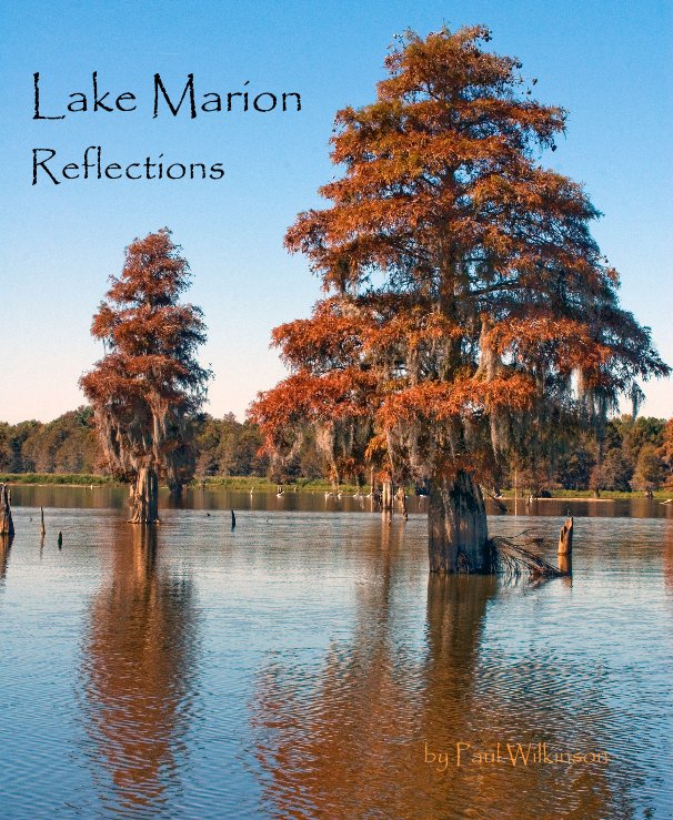 View Lake Marion Reflections by Paul Wilkinson