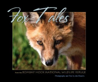 Fox Tales book cover
