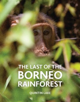 The Last of the Borneo Rainforest book cover