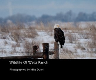 Wildlife Of Wells Ranch book cover