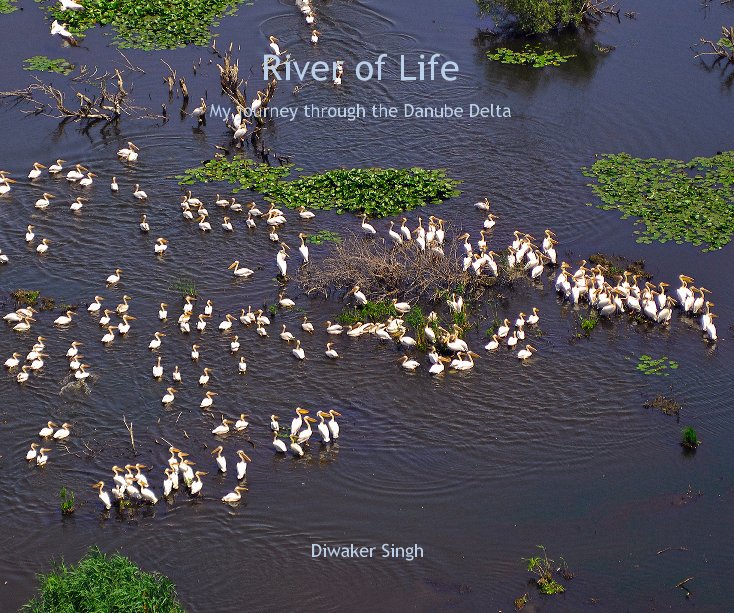 Visualizza River of Life di Diwaker Singh
