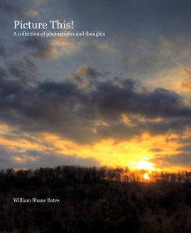 Picture This! A collection of photographs and thoughts William Shane Bates book cover