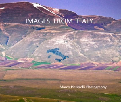 IMAGES  FROM  ITALY book cover