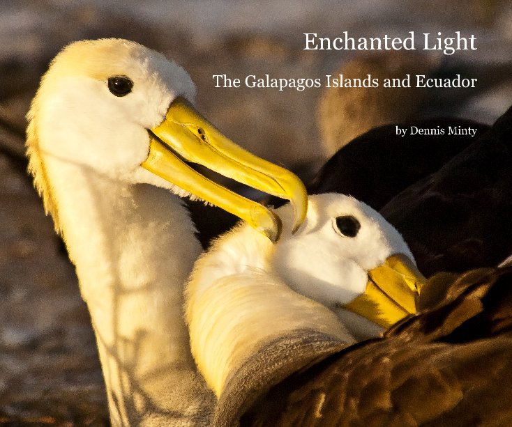 View Enchanted Light, Galapagos Islands and Ecuador by Dennis Minty