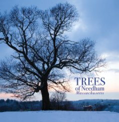 Trees of Needham, Massachusetts book cover