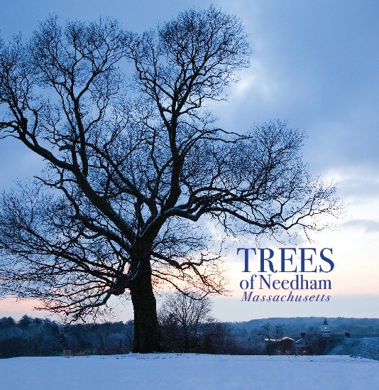 View Trees of Needham, Massachusetts by Andy Caulfield and Kevin Keane