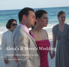 Alexa's & Steve's Wedding book cover