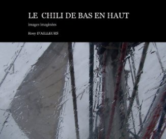 LE CHILI DE BAS EN HAUT book cover