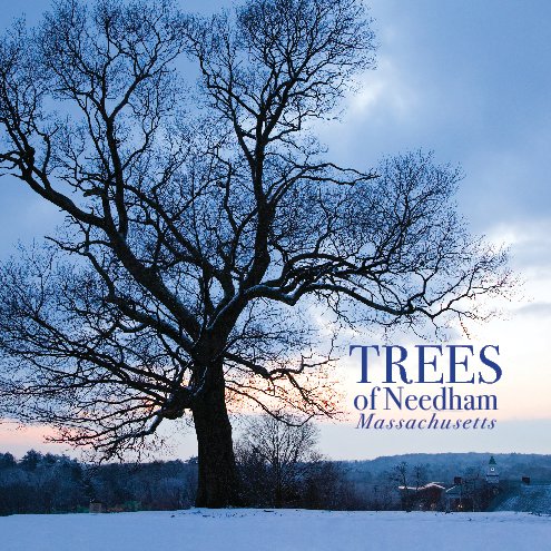 View Trees of Needham, Massachusetts by Andy Caulfield and Kevin Keane