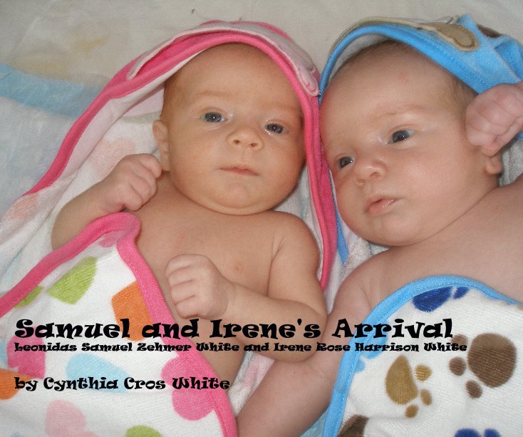 View Samuel and Irene's Arrival by Cynthia Cros White