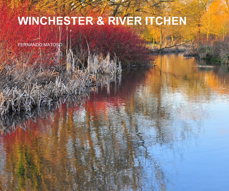 View Winchester and River Itchen by Fernando Matoso