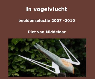 in vogelvlucht book cover