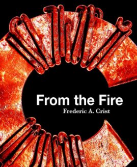 From the Fire book cover