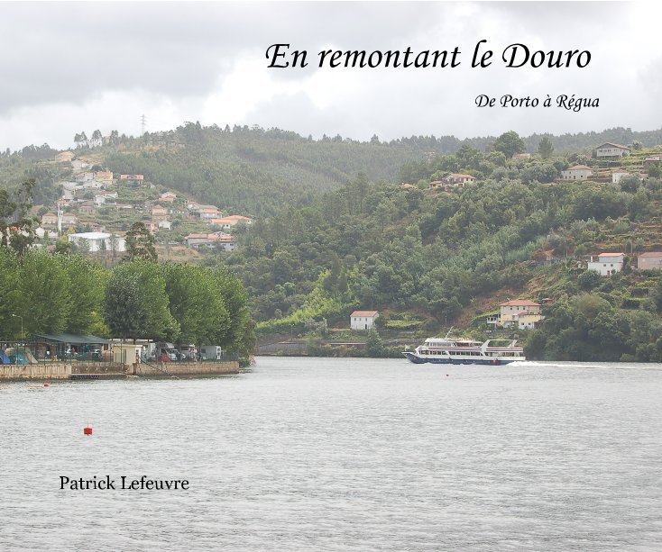 View En remontant le Douro by Patrick Lefeuvre