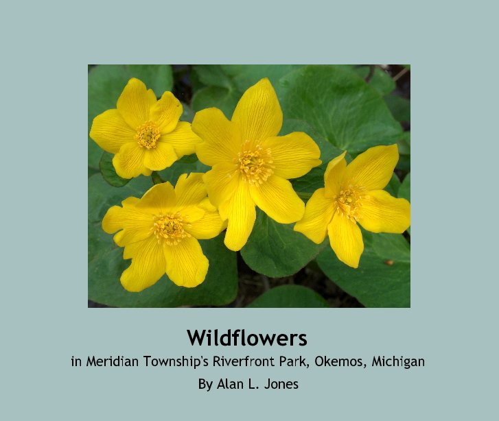 View Wildflowers by Alan L. Jones