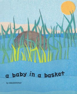 A BABY IN A BASKET book cover