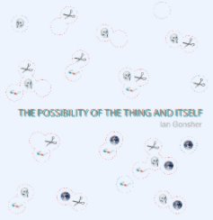 THE POSSIBILITY OF THE THING AND ITSELF book cover