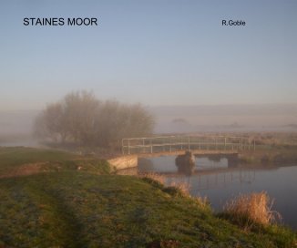 STAINES MOOR book cover