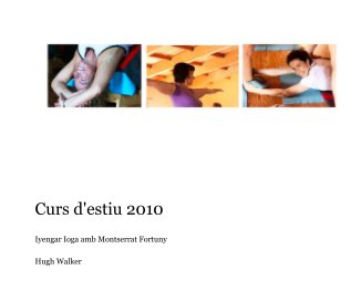 Curs d'estiu 2010 book cover