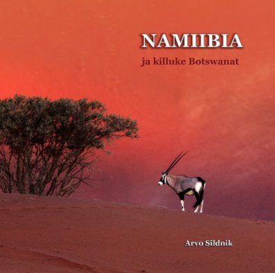 NAMIBIA and Botswana book cover