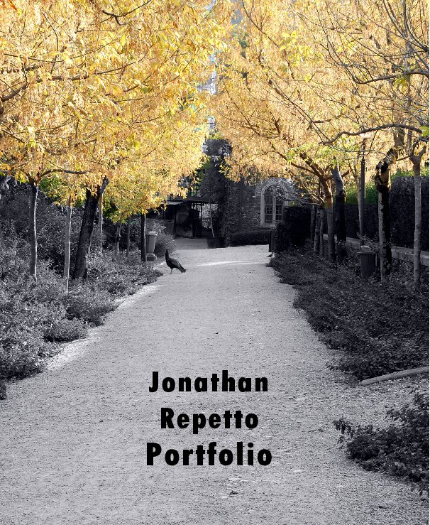 View Jonathan Repetto Portfolio by a cura di Jonathan Repetto