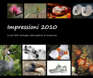 Impressioni 2010 book cover